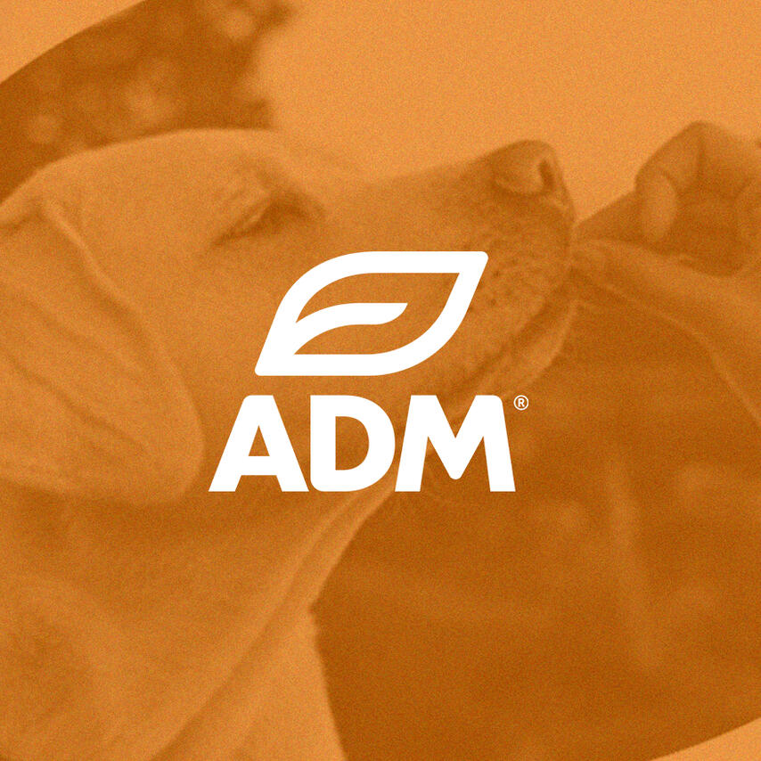 Archers Daniel Millard (ADM)